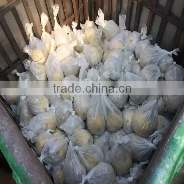 China Honglu High Quality Sporthalle Building