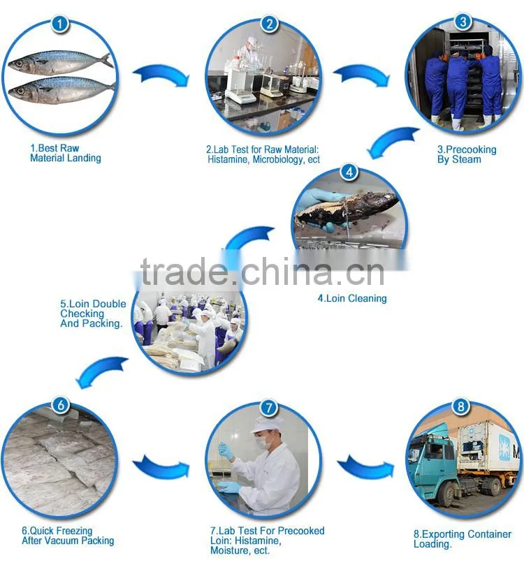New seafood and fish products canned fish fillets