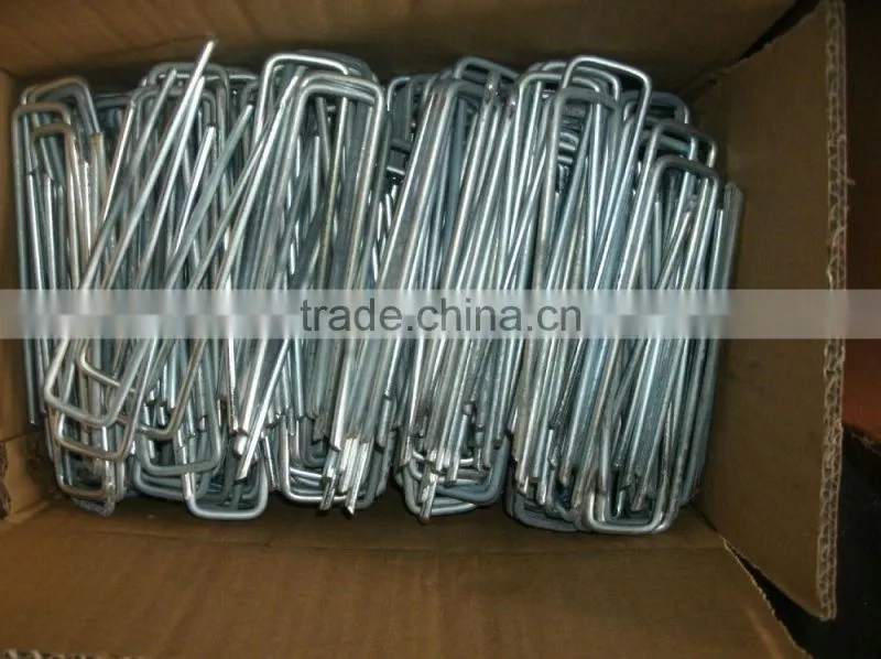 Professional MANUFACTURER sell sod staple/u type nail