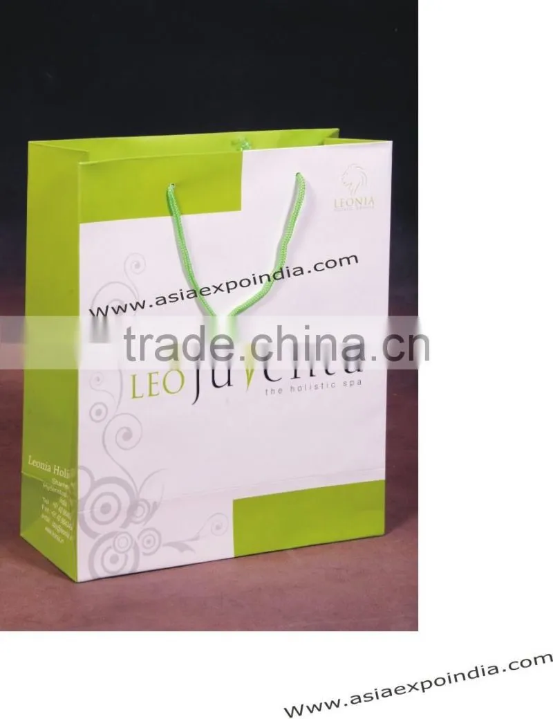 Paper Promotion Shopping Bags with Glossy / Matte Finish