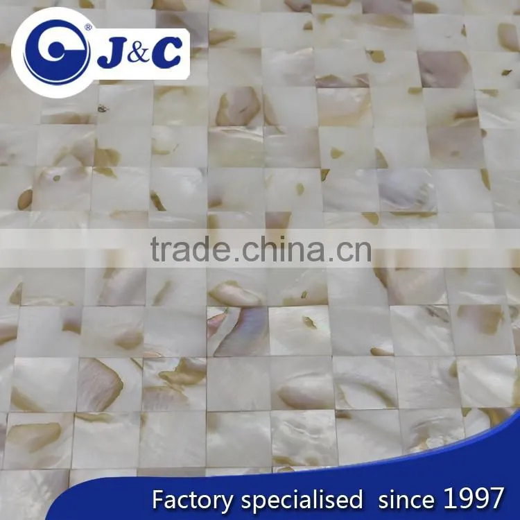 natural varicolored river shell mosaic