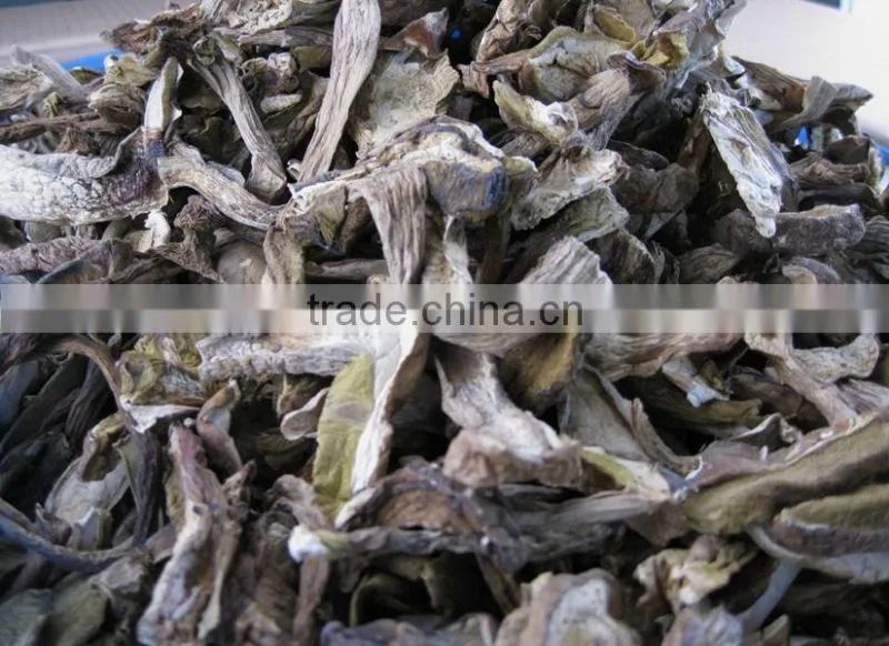 Esculent wild dried slice boletus mushroom