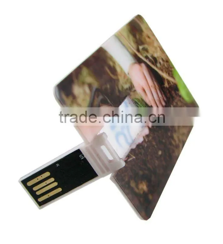 2012 hot selling credit card usb with full color print logo/accept PayPal/CE,FCC,ROHS