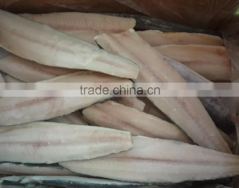 frozen Spanish mackerel fillet