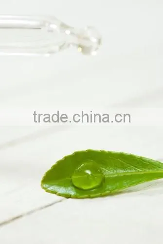 High Quality Powder Ascorbic Acid Vitamin C