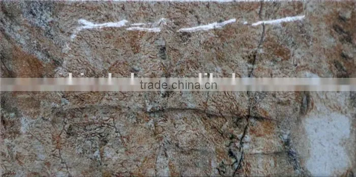 6D Inkjet painting outdoor wall tile100x200mm