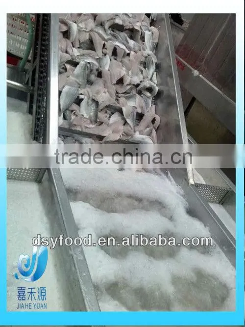 Frozen Seabass