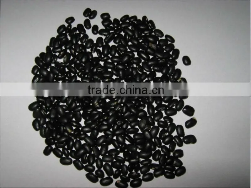 Dried Peas and other beans