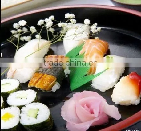 Sushi Ginger Slice