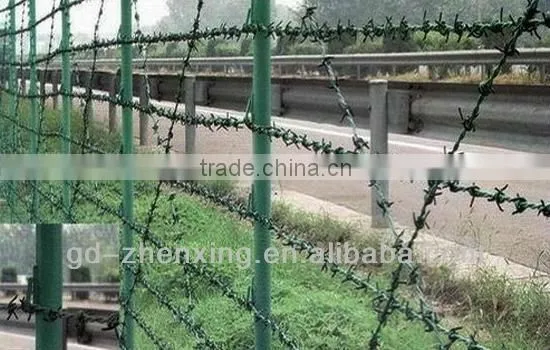 Hot Anti-theft and anti-climbing Galvanised security barbed wire price per roll