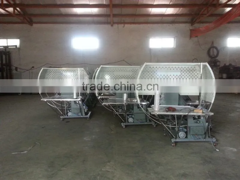 Wrapping Machine/carton Machinery