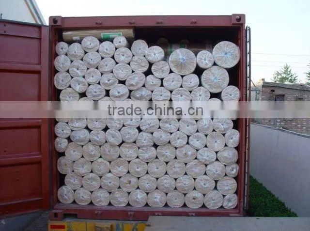 1/4 inch galvanized welded wire mesh