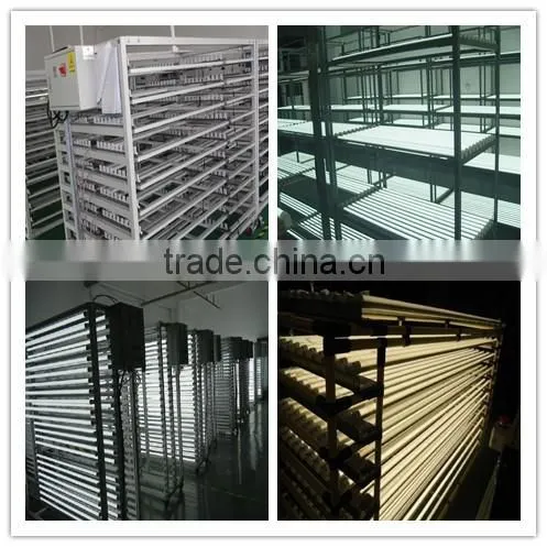 Japanese market PSE japan tube 24 hot jizz led T8 led tube light