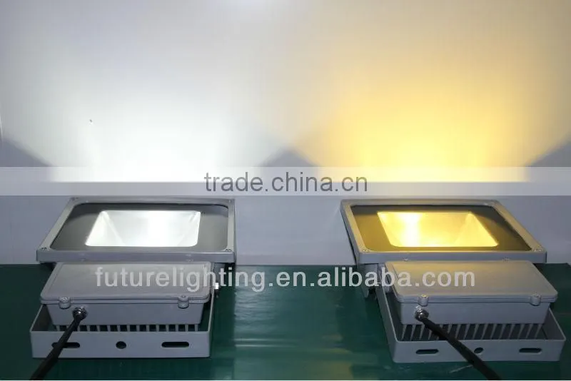 CE,RoHS shenzhen high power IP65 outdoor led flood light 100w