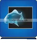 smd outdoor p10 led display module,p6/p8/p10 smd outdoor module
