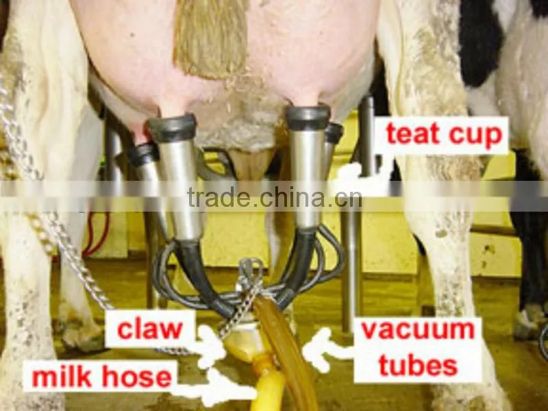 rotary vane vacuum pump type milking machine (two buckets)