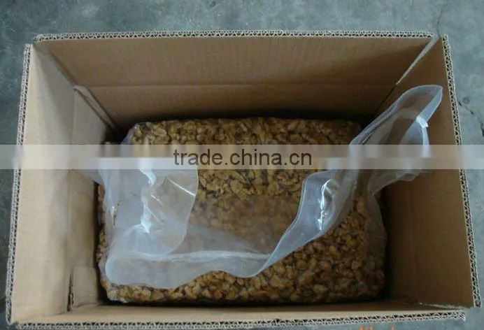 walnut kernel