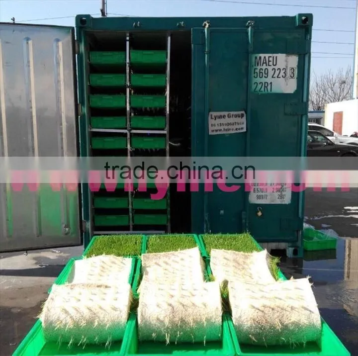 Made in China barley fodder hydroponic machine