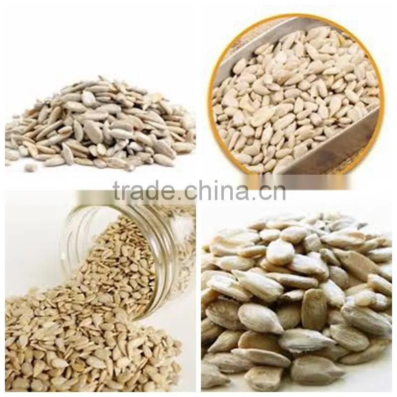 sunflower kernels chinese sunflower kernels oil BakeryType sunflower kernels