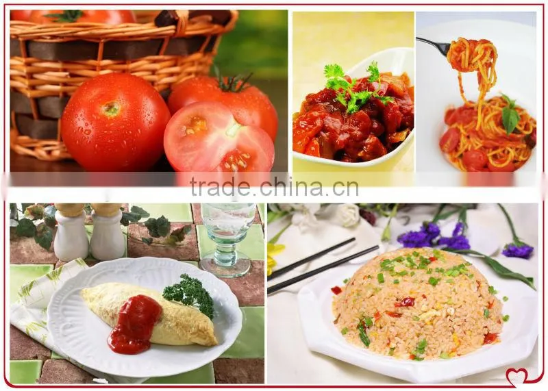70G-4500G China Hot Sell Canned tomato paste,tomato sauce glass bottle