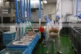 Ningbo Yinzhou Dahua Aquatic Products Factory company overview - view 2