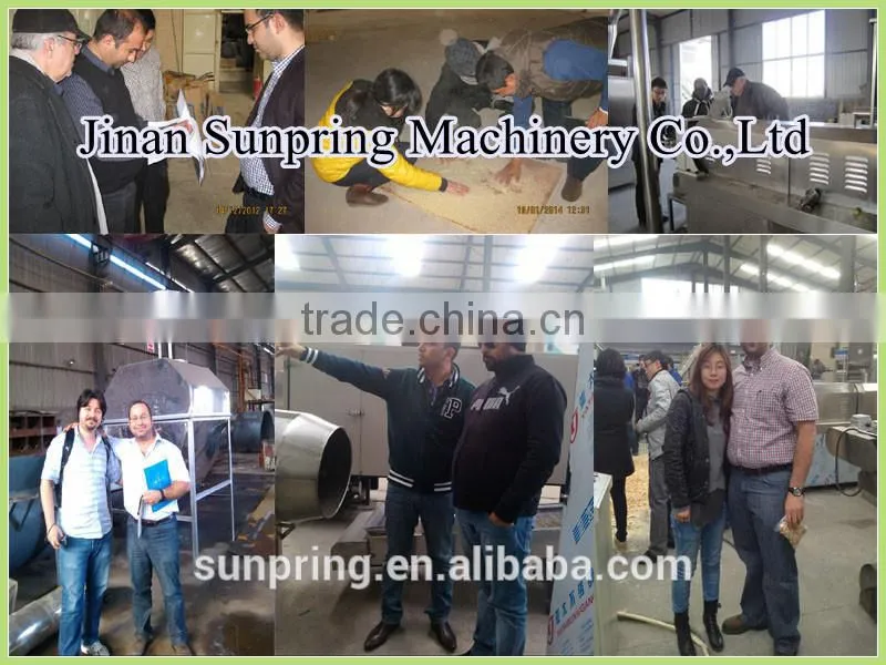 Extruded Instant Artificial Nutritional Rice Processing Machine