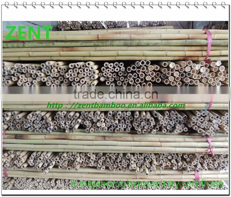 ZENT -131 agricultural bamboo poles/small bamboo ctick
