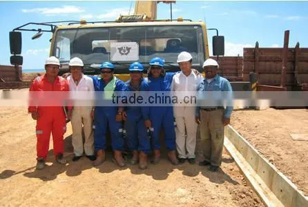2014 Good Quality 10 ton Tower crane TC6015 with lowest price