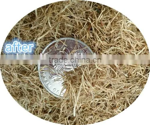 Cut palm EFB Long fibre to short quickly