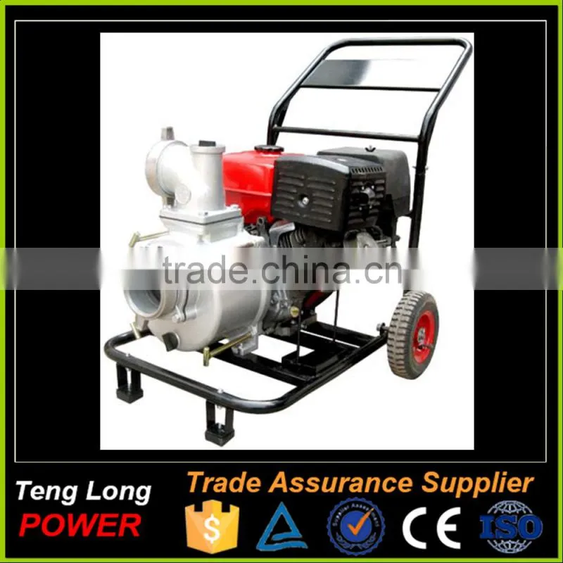 Famous Brand Power Value Price Water Pump for Agriculture