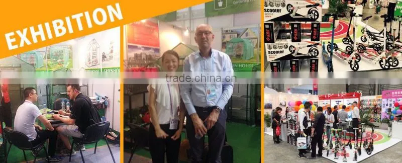 walk in greenhouse,commercial greenhouse,PE greenhouse for flower and plant