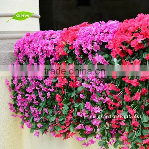 GNW FLV09 indian rose flower use for balloon flower root extract or other occasion