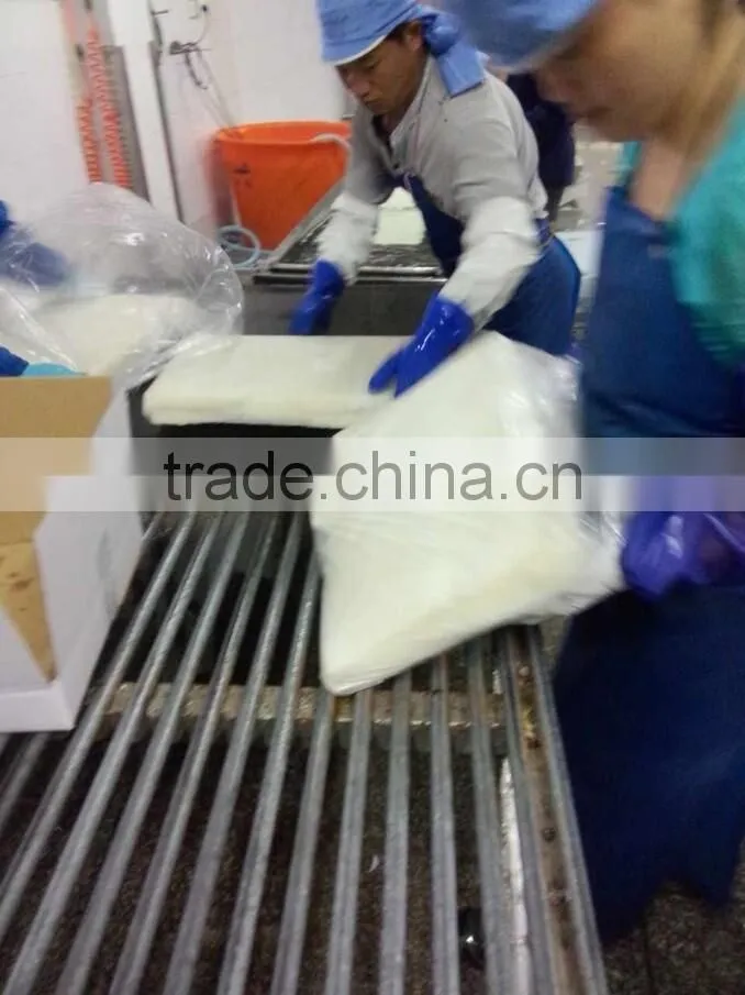 Frozen Giant Squid Fillet