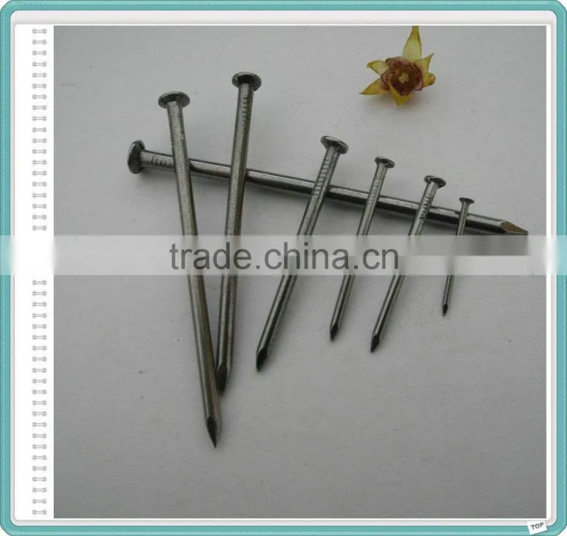 high quality common wire nail iron nal factory
