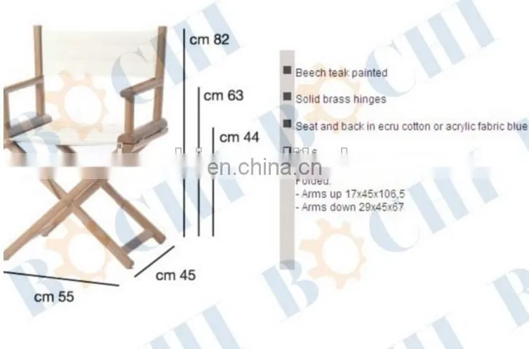 Marine Canvas Director Chair