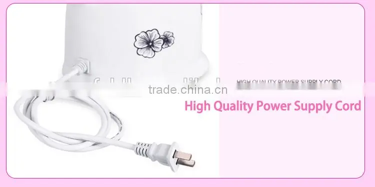 Ozone Facial Steamer