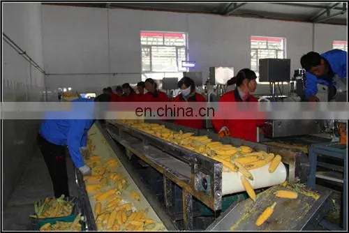 Automatic sweet canned corn processing production line