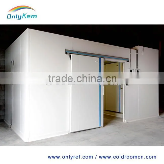 electric sliding cold room door