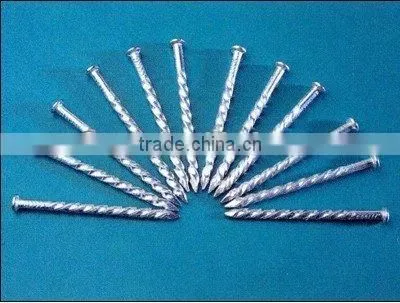 galvanized twisted shank nails factory
