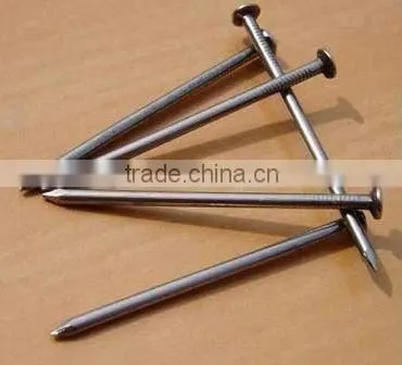 polished common iron nails