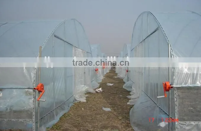 galvanized multi-span cheap greenhouse