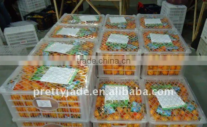 2014 new crop chinese Fresh baby orange