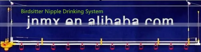 Hot sale modern automatic quail feeding equipment