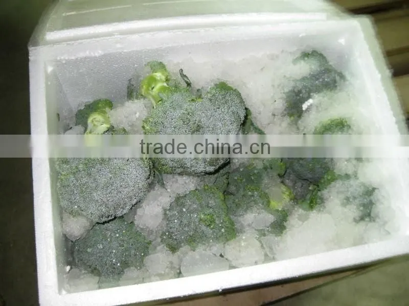 Chinese Fresh Broccoli
