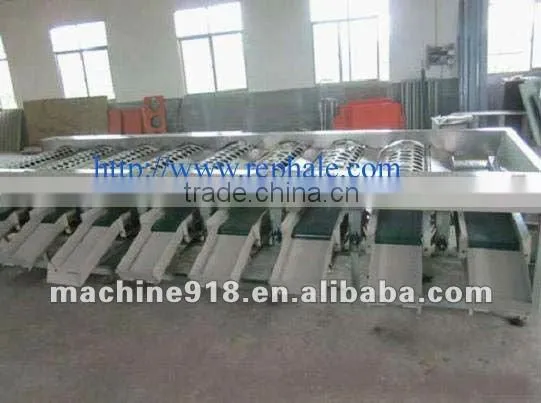tomato selecting machine