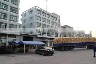 Wenling Blue Sky Plastic Shoes Co., Ltd. company overview - view 3