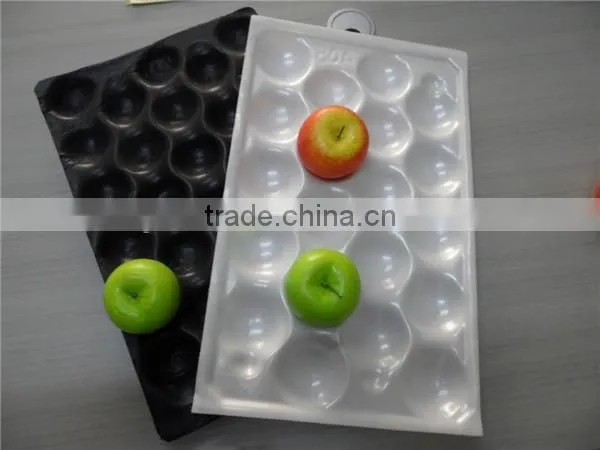 PS Plastic Fruit Tray