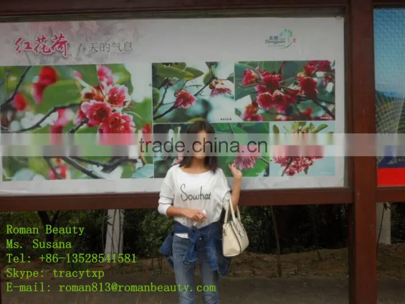 Most classic fashion Hair curler Accessories manufacturer