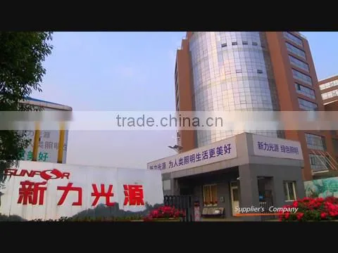 Sichuan Sunfor Light Co., Ltd. company overview - view 1
