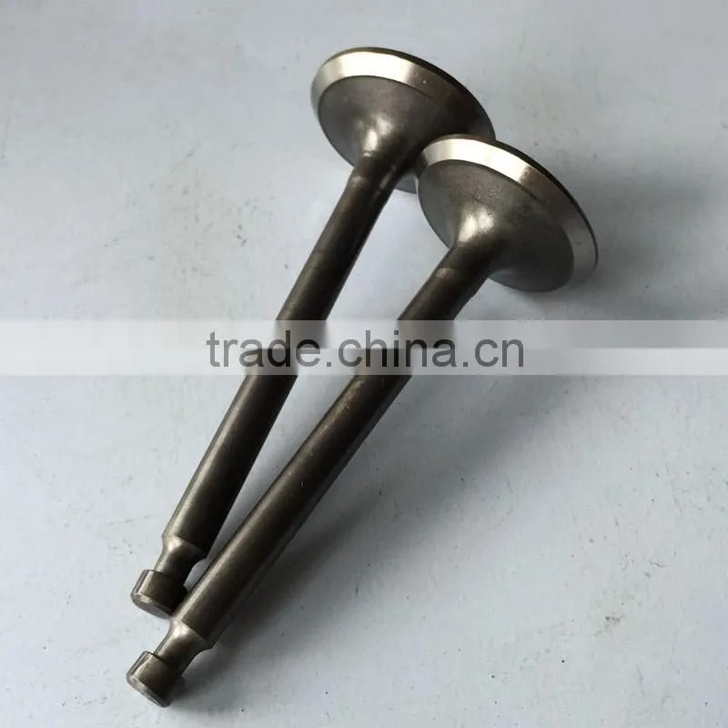 188F BISON China Taizhou Exhaust Valve, Valve Exhaust, Engine Valve